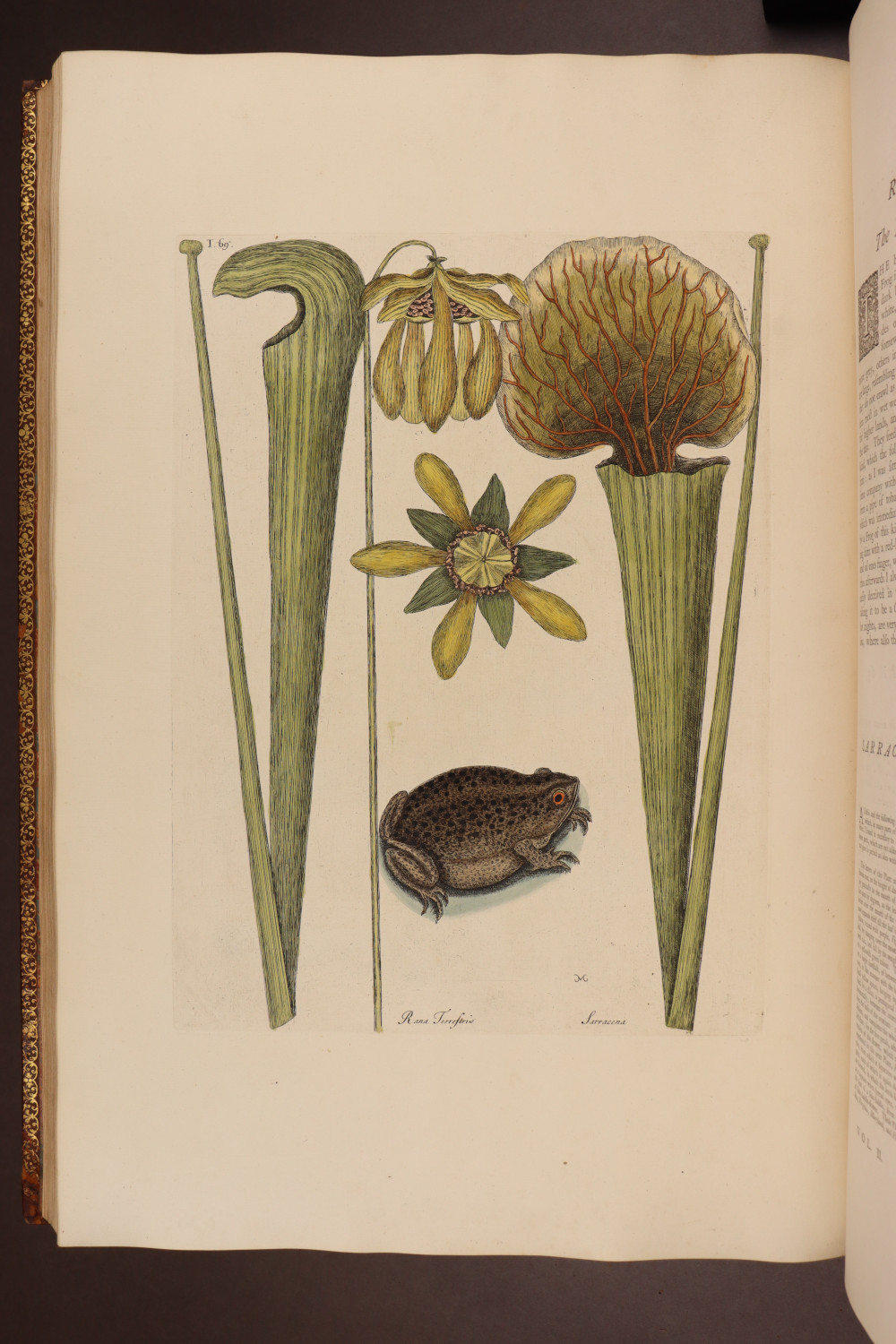 Plate 69